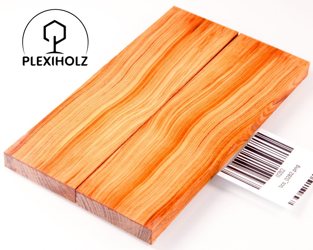 Thuja Maser Griffschalen stabilisiert | 140x40x10 | plexiholz | 0282