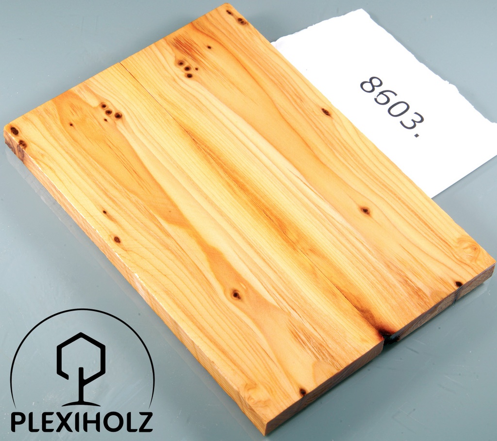 Thuja Maser Griffschalen stabilisiert | 120x40x8 | plexiholz | 8603