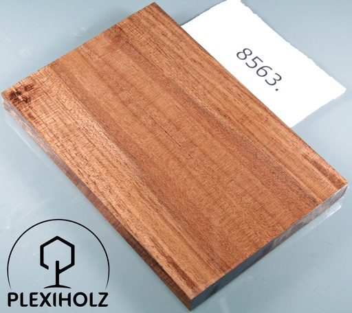 [0070] Walnuss Griffschalen stabilisiert | 120x40x10 | plexiholz | 8563