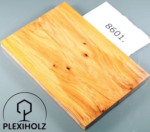 [0091] Thuja Maser Griffschalen stabilisiert | 120x40x8 | plexiholz | 8601