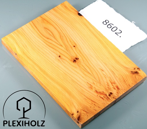 [0092] Thuja Maser Griffschalen stabilisiert | 120x40x8 | plexiholz | 8602