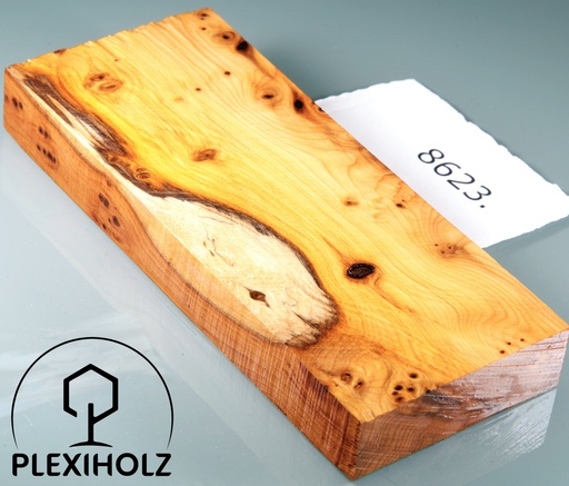 [0110] Thuja Maser Griffblock stabilisiert | 147x61x19 | plexiholz | 8623